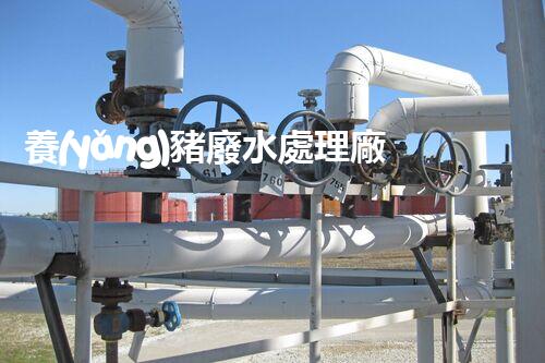 養(yǎng)豬廢水處理廠家：革新環(huán)保技術(shù)，打造清潔生態(tài)！